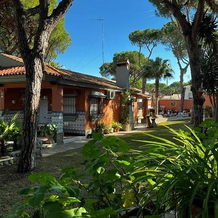 Chalet Los Pinos Con Piscina Privada Novo Sancti Petri Zewnętrze zdjęcie