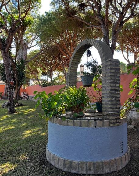 Chalet Los Pinos Con Piscina Privada Novo Sancti Petri Zewnętrze zdjęcie
